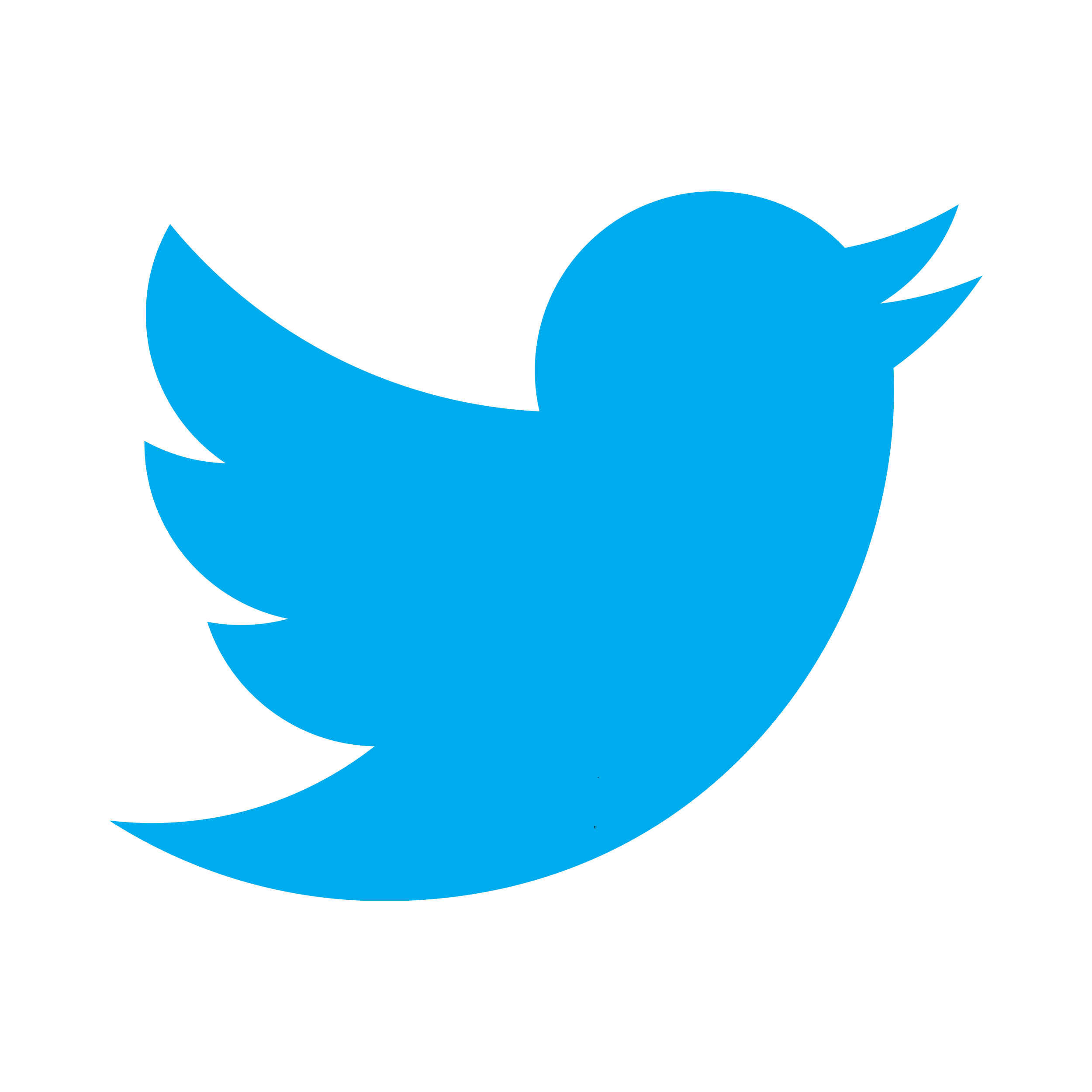 Twitter bird logo